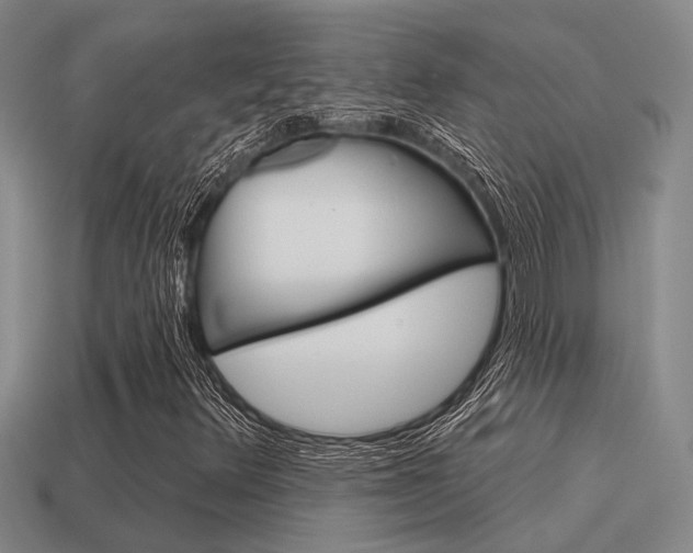 X0000115651348200911101108