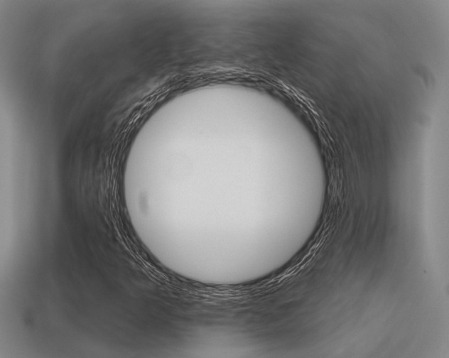 X0000115651349200911101108
