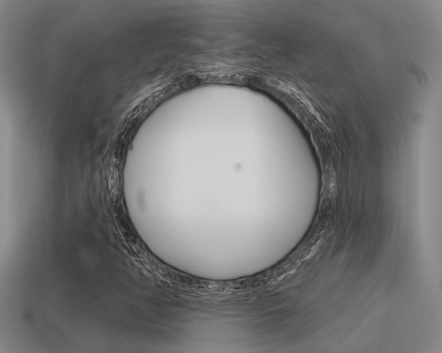 X0000115651350200911101108