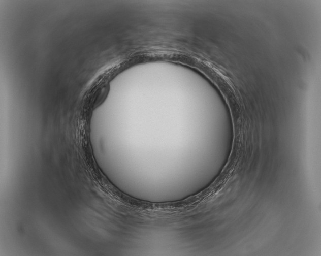 X0000115651351200911101108