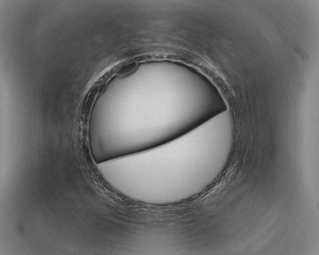 X0000115651352200911101108