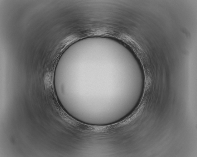 X0000115651353200911101108