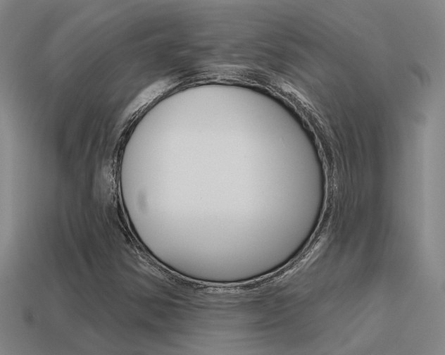 X0000115651354200911101108