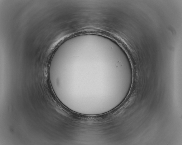 X0000115651355200911101108