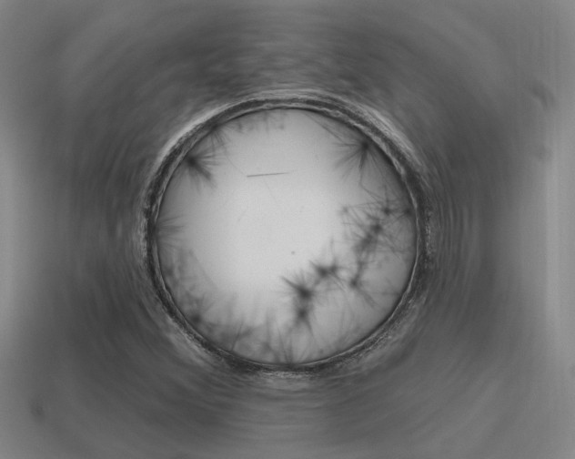 X0000115651356200911101108