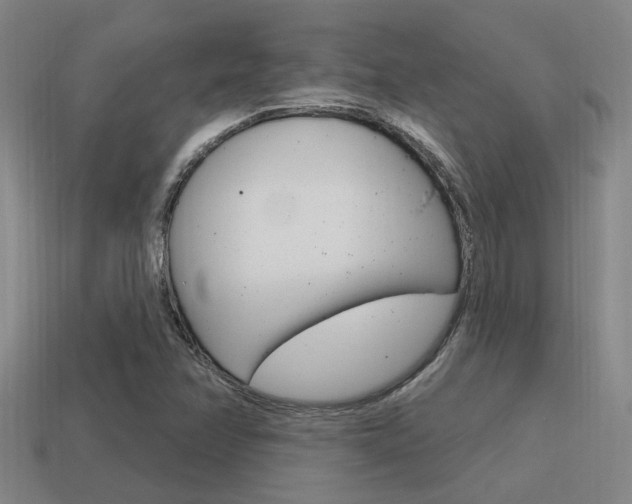 X0000115651358200911101108