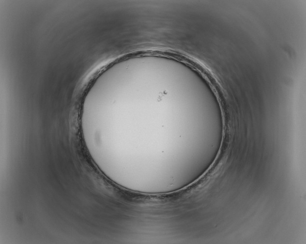 X0000115651359200911101108