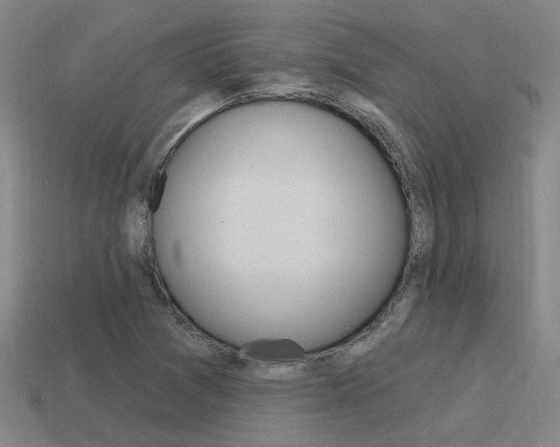 X0000115651361200911101108