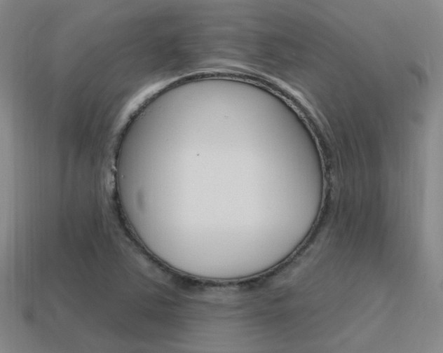 X0000115651363200911101108
