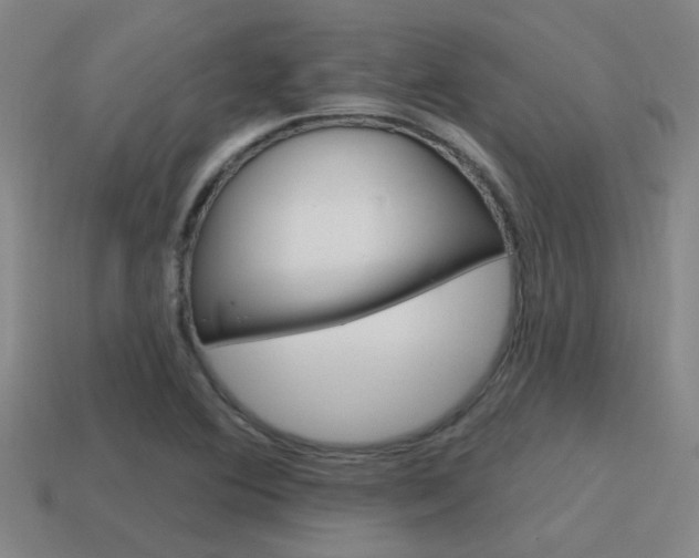 X0000115651364200911101108