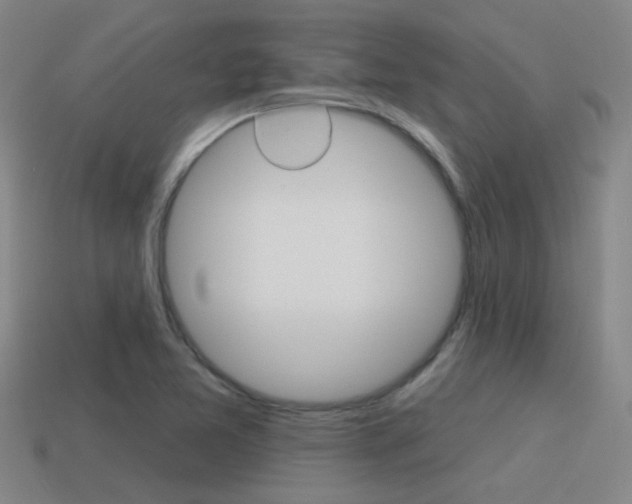 X0000115651365200911101108
