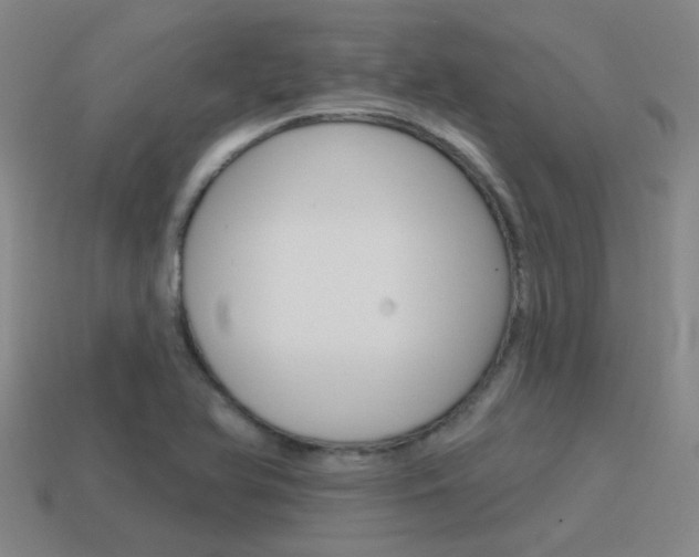 X0000115651366200911101108
