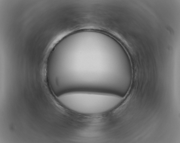 X0000115651367200911101108