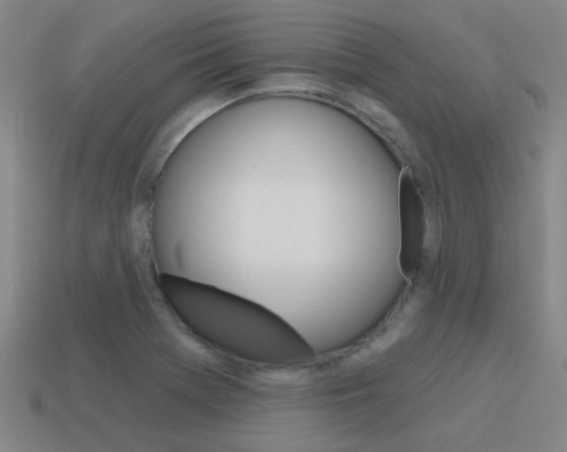 X0000115651369200911101108