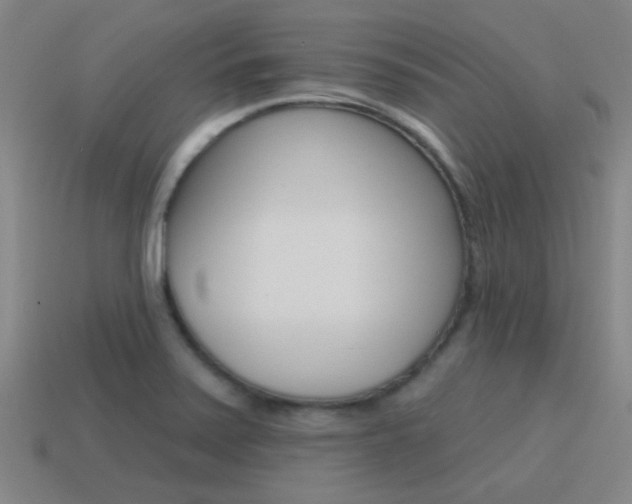 X0000115651371200911101108