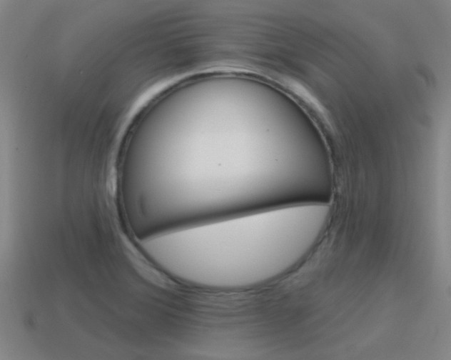 X0000115651372200911101108