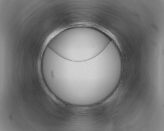X0000115651373200911101108