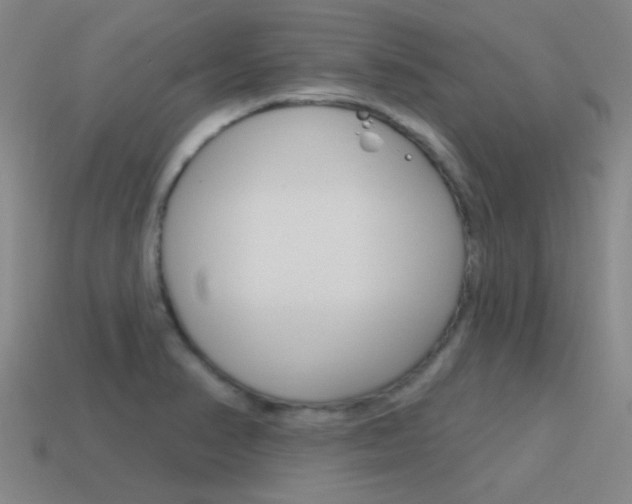 X0000115651374200911101108