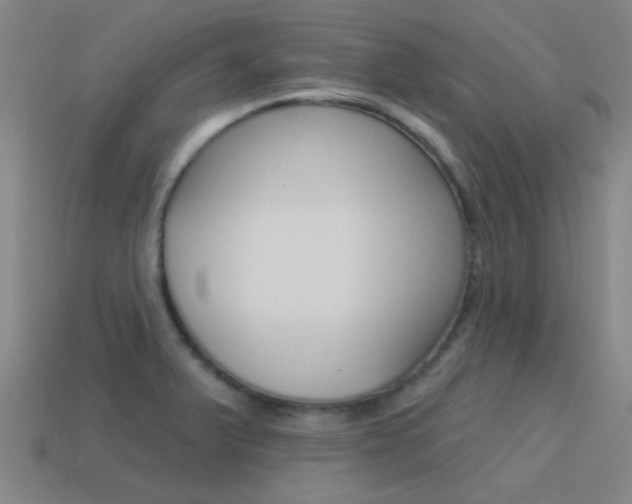 X0000115651375200911101108