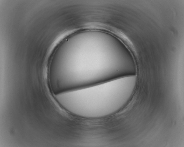 X0000115651376200911101108