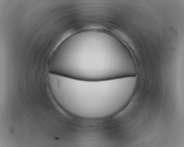 X0000115651377200911101108