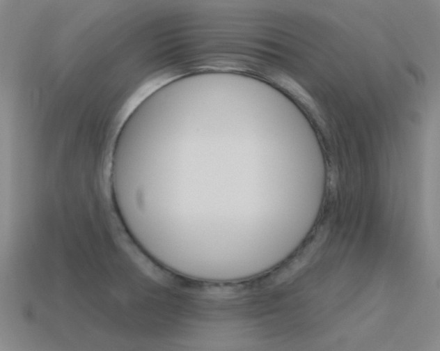 X0000115651378200911101108