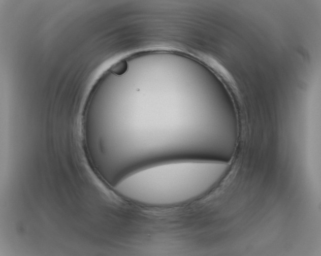 X0000115651380200911101107