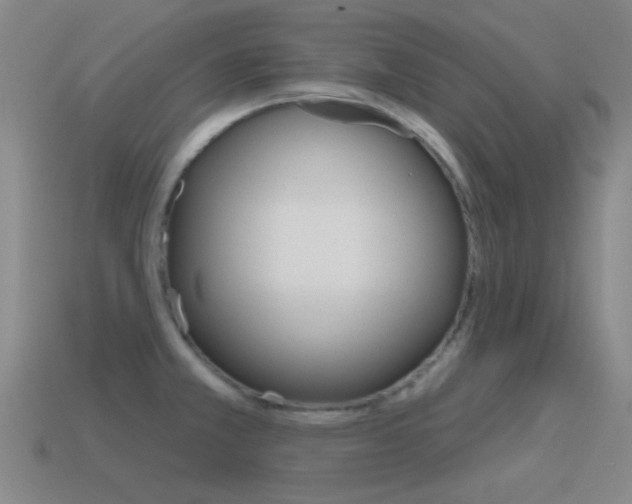 X0000115651381200911101107