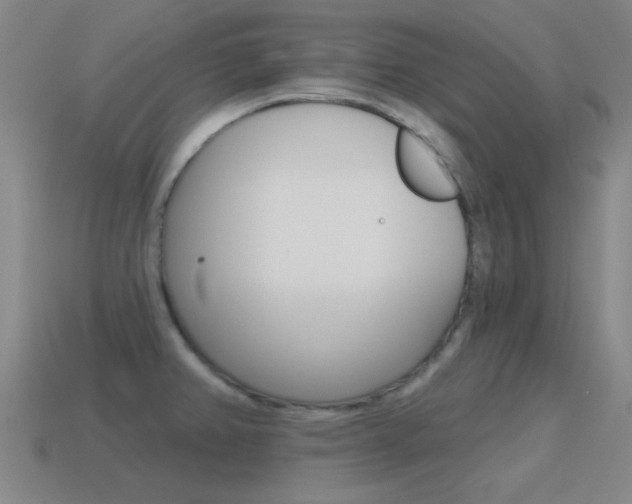 X0000115651382200911101107