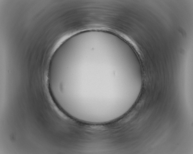 X0000115651383200911101107