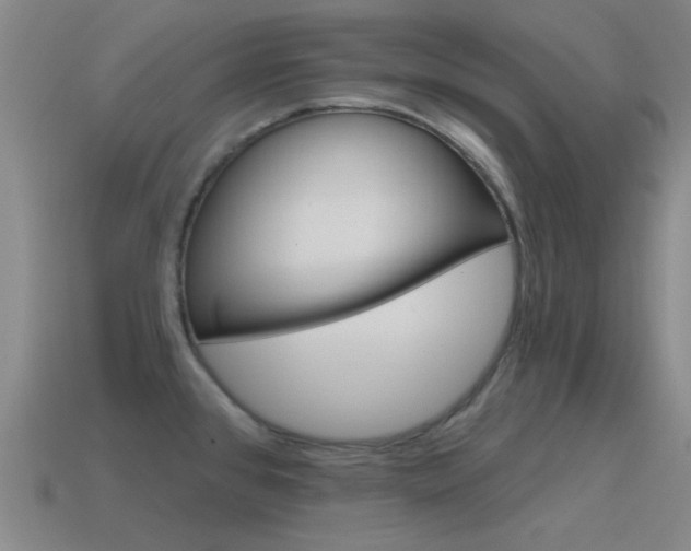 X0000115651384200911101107