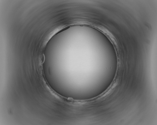 X0000115651385200911101107