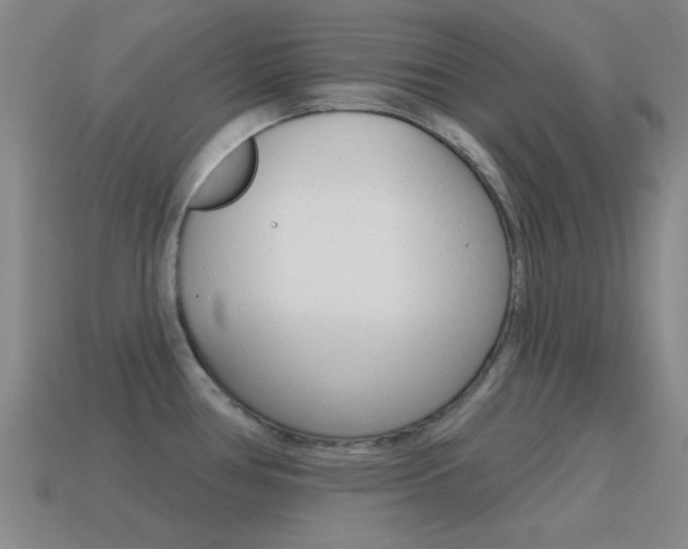 X0000115651386200911101107
