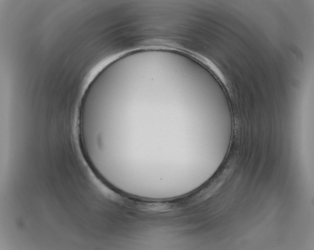 X0000115651387200911101107