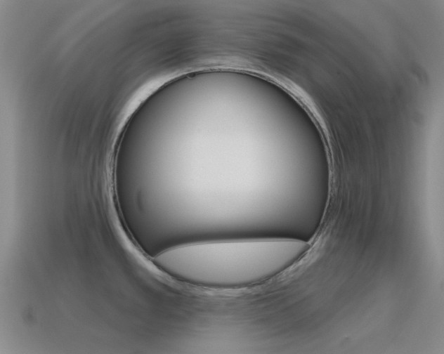 X0000115651389200911101107