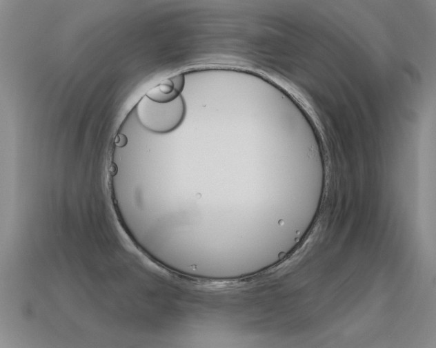 X0000115651390200911101107