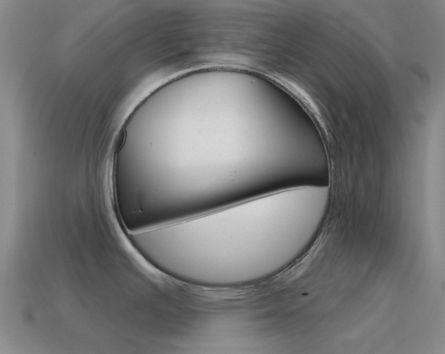 X0000115651391200911101107