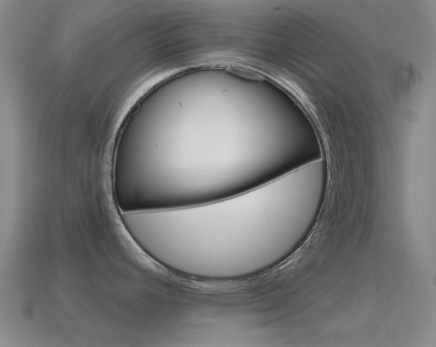 X0000115651392200911101107