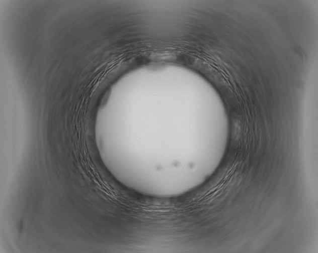 X0000115651393200911101107
