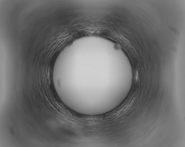 X0000115651396200911101107