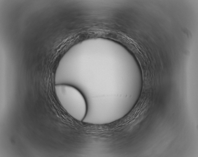 X0000115651397200911101107