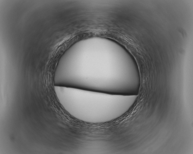 X0000115651398200911101107
