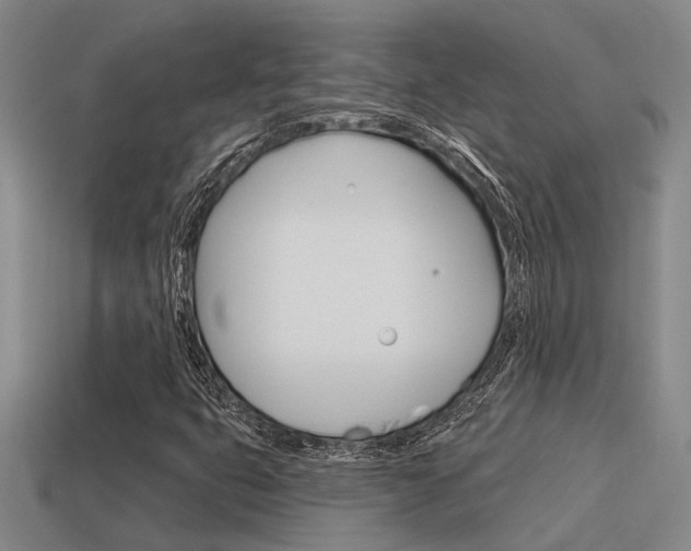 X0000115651399200911101107