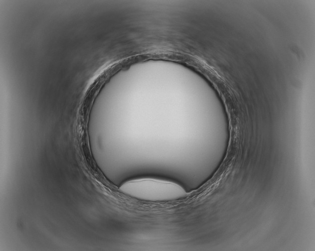 X0000115651400200911101107
