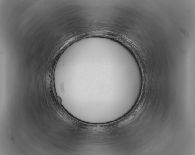 X0000115651401200911101107