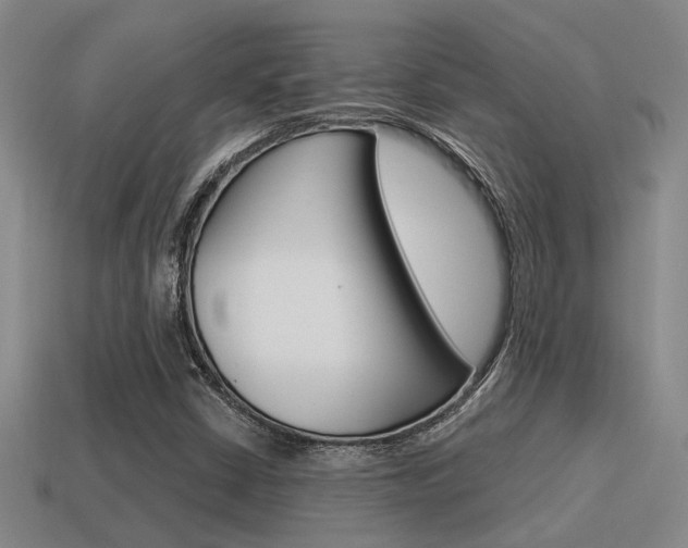 X0000115651402200911101107