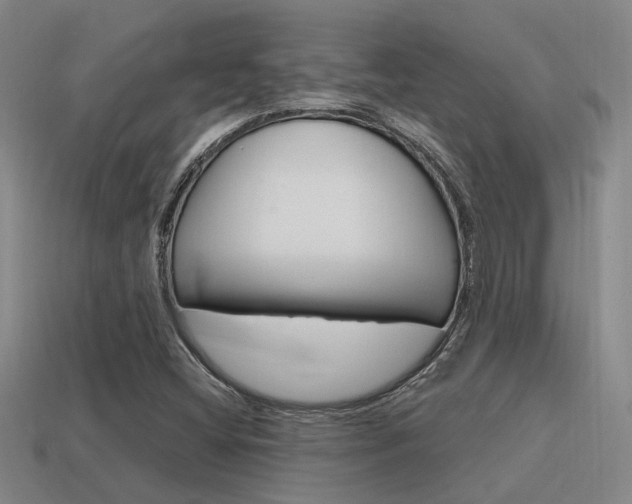 X0000115651404200911101107