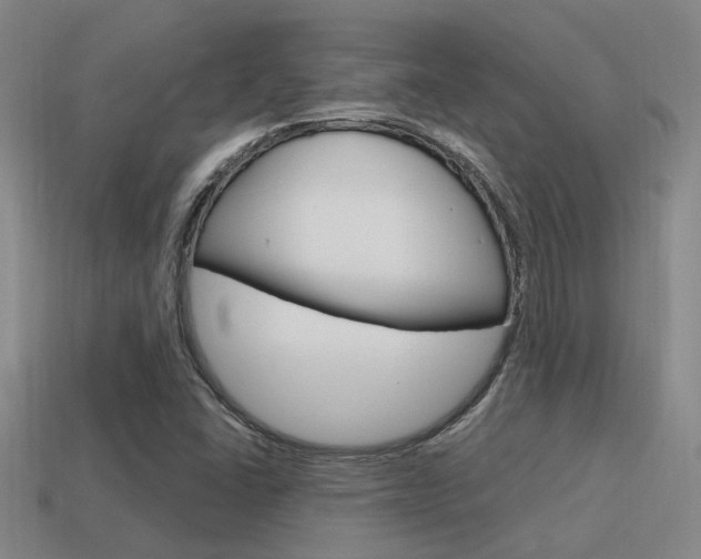 X0000115651406200911101107