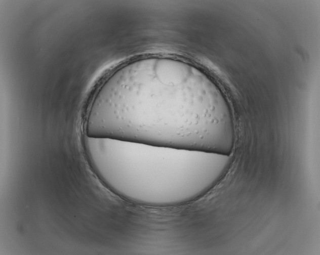 X0000115651408200911101107