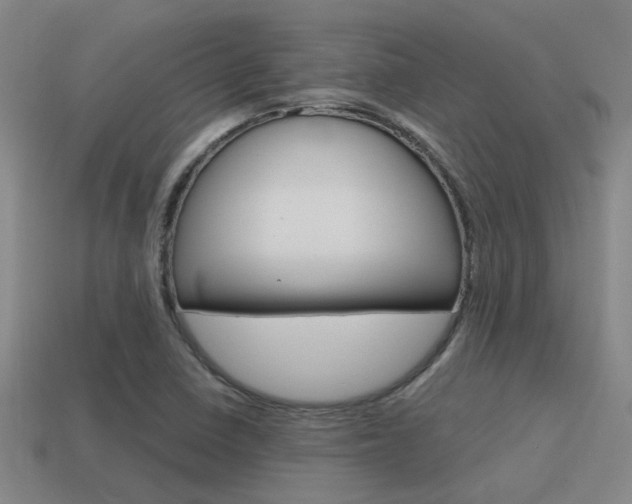 X0000115651410200911101107